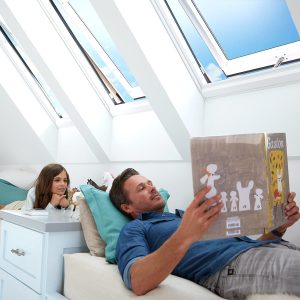 Velux Manual Skylight Replacement Handles