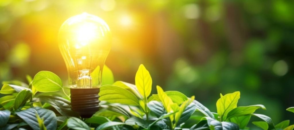 Buying the Right Skylights for Energy Efficiency and Lighting